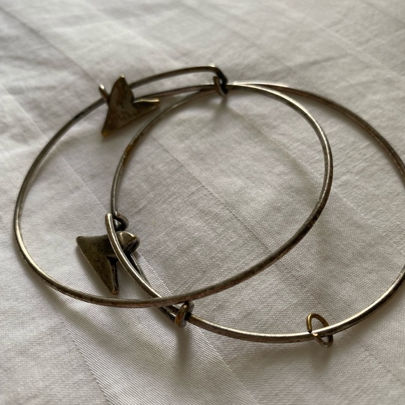 Alex and Ani Silver Shark Tooth Bracelet - Picture 9 of 11
